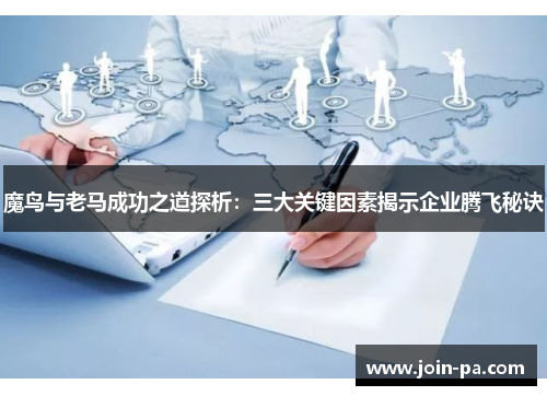 魔鸟与老马成功之道探析：三大关键因素揭示企业腾飞秘诀